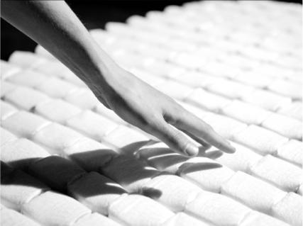 The Carpe Diem story